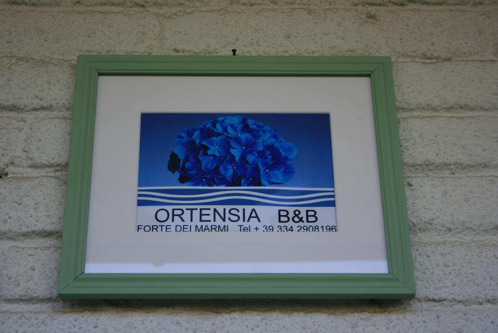 B&B Ortensia Forte dei Marmi Eksteriør billede